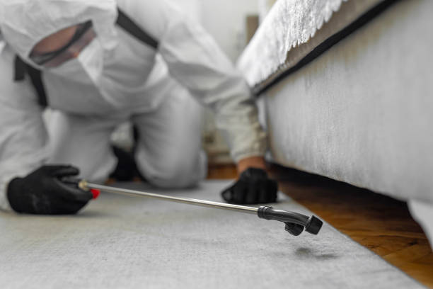 Professional Ant Control technician working in Sargent, TX