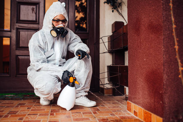 Reliable Ant Control contractor in Sargent, TX by Show Me Pest Control